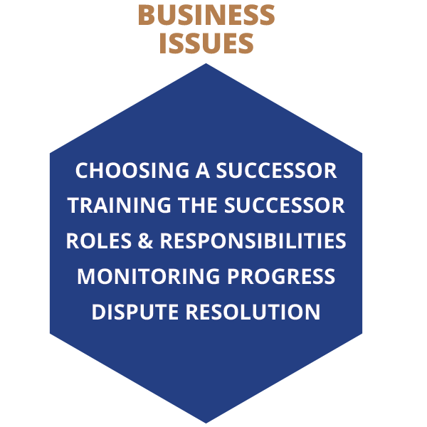 Business issues: Choosing a successor, training the successor, roles & responsibilities, monitoring progress, dispute resolution