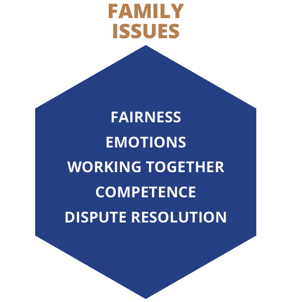 Family issues: Fairness, emotions, working together, competence, dispute resolution